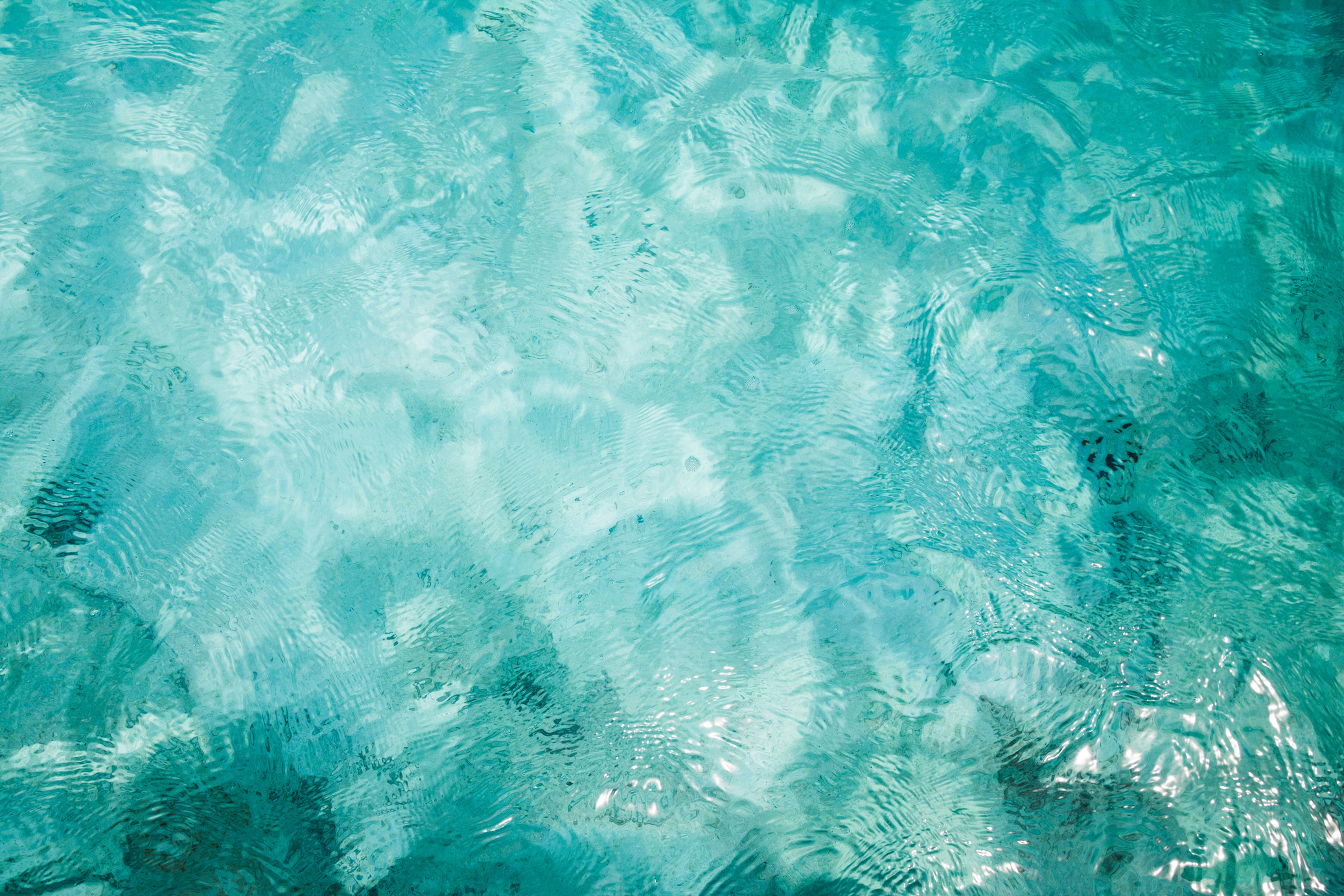 Ocean floor