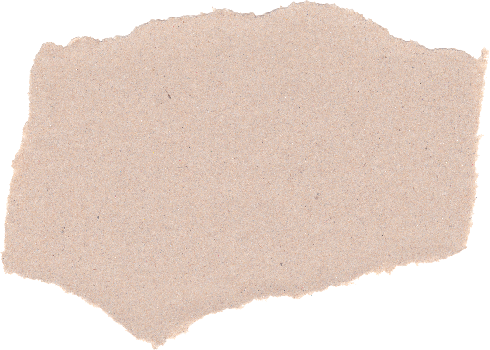 Torn Cardboard